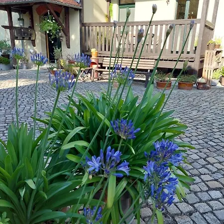 Ferienwohnung Am Buergerteich Bischofswerda Exterior photo