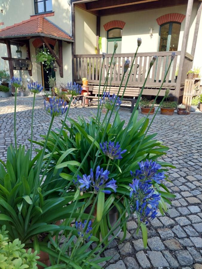 Am Buergerteich Apartment